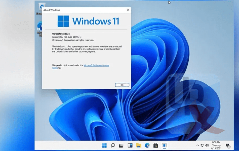 تحميل Windows 11